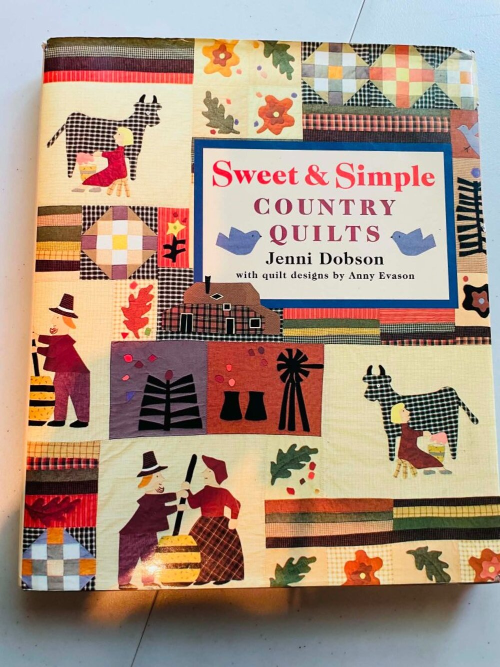 SWEET AND SIMPLE COUNTRY QUILTS Hardcover Book Jenni Dobson Folk Art  Primitive